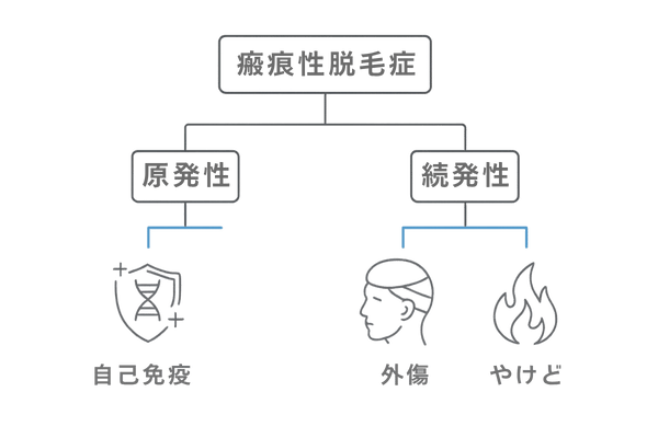 原発性と続発性に分かれる瘢痕性脱毛症の分類フローチャート