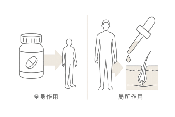 内服と外用ミノキシジルの違いを示す線画図