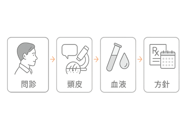 薄毛・抜け毛の専門クリニックで行う診断と検査の流れ|問診・頭皮評価・血液検査・治療方針