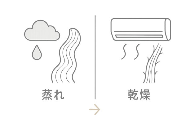 梅雨〜夏の湿度ギャップ(屋外の蒸れ/室内の乾燥)が髪に与える影響【比較図】