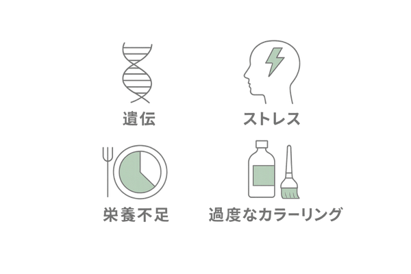 若白髪の主因4つを示すアイコンセット