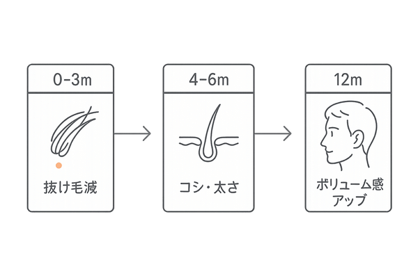 プロペシアの効果タイムライン|開始〜12か月の変化目安