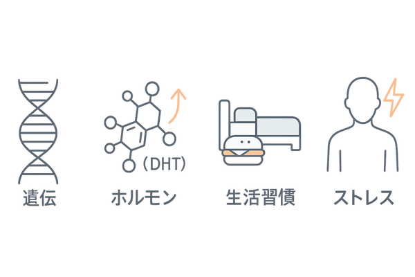 薄毛の4大要因（遺伝・ホルモン・生活習慣・ストレス）アイコン