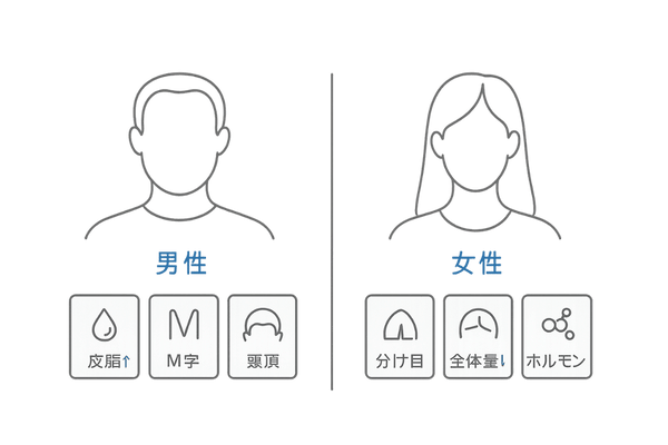 高校生に多い若年性脱毛の特徴｜男女別の傾向と頭皮変化の図解
