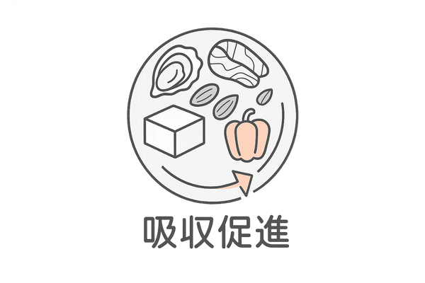 亜鉛を多く含む食品プレートと吸収促進の組み合わせイラスト