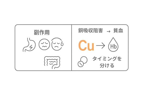 亜鉛サプリの副作用と過剰摂取の注意点(銅不足・胃腸障害)
