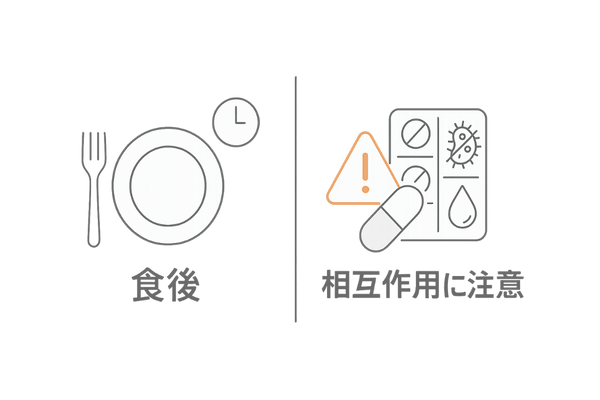 亜鉛サプリの摂取タイミングと薬の相互作用（食後推奨・抗生物質/利尿剤に注意）
