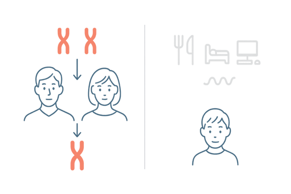 父方の影響：常染色体遺伝と生活習慣を対比する図（AGA）