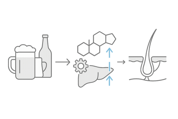 アルコールがテストステロンに与える影響のメカニズム図（肝臓・アロマターゼと毛包への流れ）