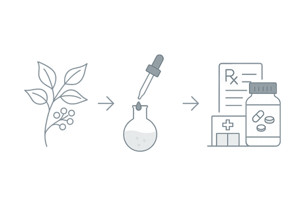 セファランチンの起源と医療での位置づけを示すフロー図（植物抽出から処方まで）