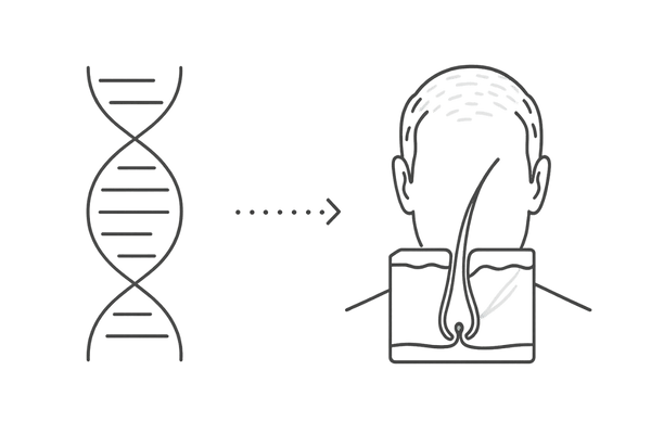 DNAと男性の頭皮を結び付けた遺伝子治療の概念図