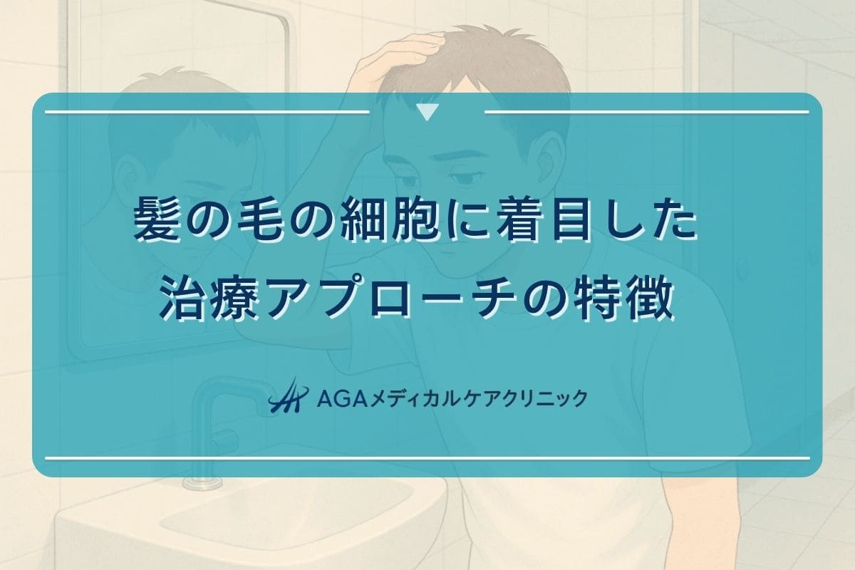 髪の毛細胞