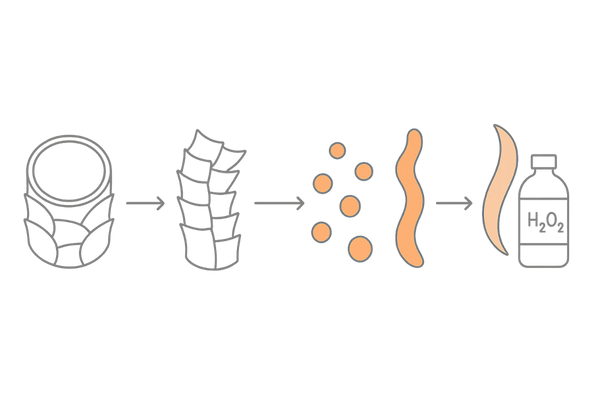 ヘアカラーが髪と頭皮へ与える作用メカニズム図解(キューティクル・染料浸透・発色・過酸化水素)