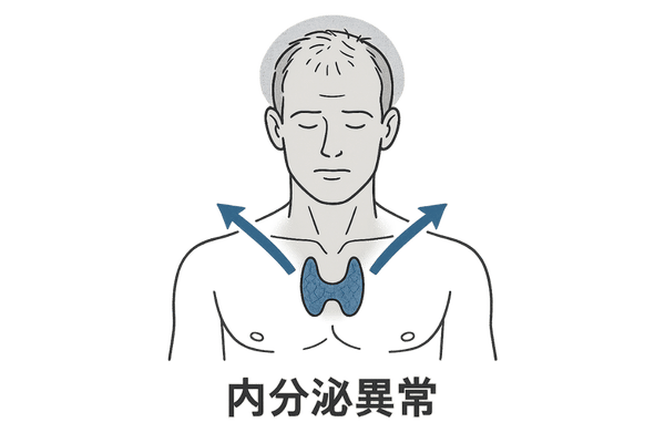 内分泌異常に伴う脱毛症