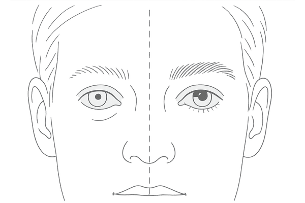 まつ毛・眉毛の薄さを示す顔パーツ