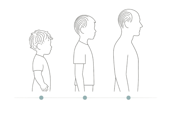 幼児期から成人期までの男性毛量変化を示すシルエット図