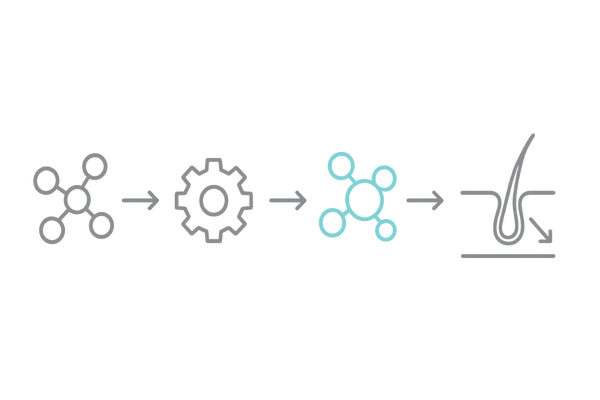 5αリダクターゼとDHTの作用機序を図解