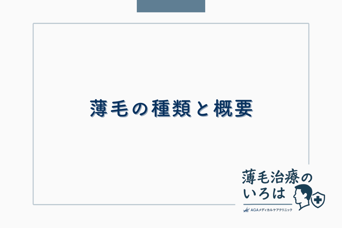 薄毛の種類と概要