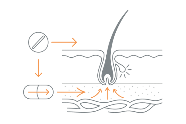 ミノタブ5mgの発毛メカニズム図――血流改善と毛母細胞の活性化