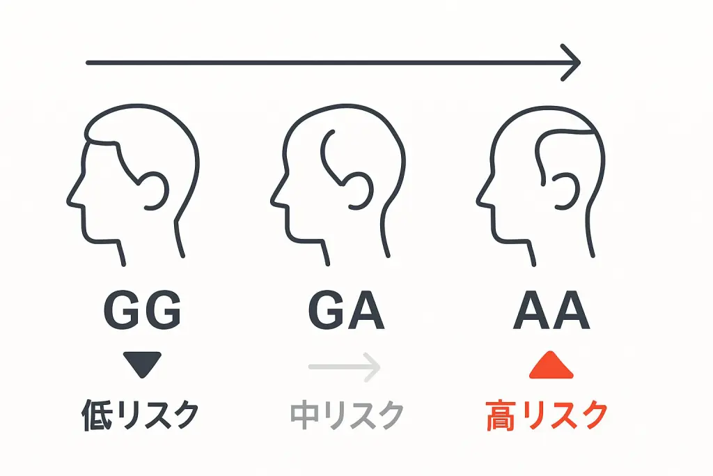 PAX1/FOXA2 遺伝子 タイプは主に3種類(GG型:低リスク、GA型:中リスク、AA型:高リスク)
