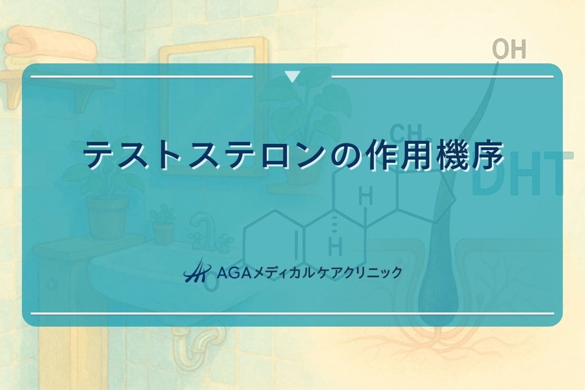 テストステロン 働き, テストステロン 役割