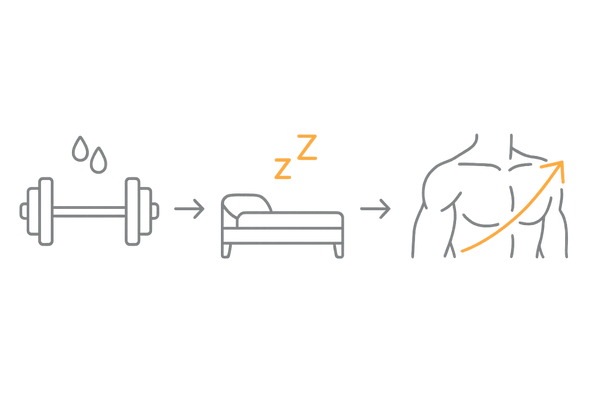 睡眠と超回復でテストステロンを維持するイメージ（48–72時間の回復）