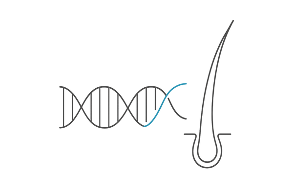 DNAが髪の毛に変化する概念を示す線画イラスト
