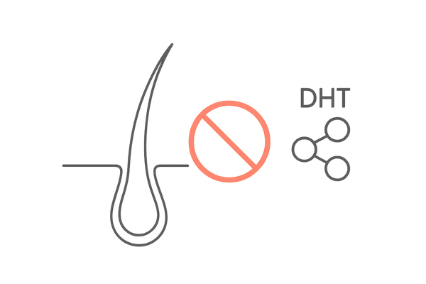 DHTが毛根に作用するメカニズム図