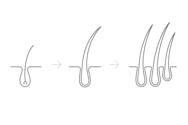デュタステリド単独で期待できる発毛プロセス｜軟毛から硬毛化・毛髪密度向上の流れ