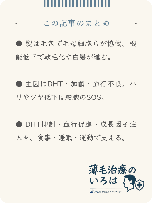 この記事のまとめ