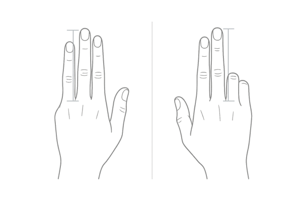 テストステロンと薬指の長さ(2D:4D比)の関係|人差し指と薬指の比較イメージ