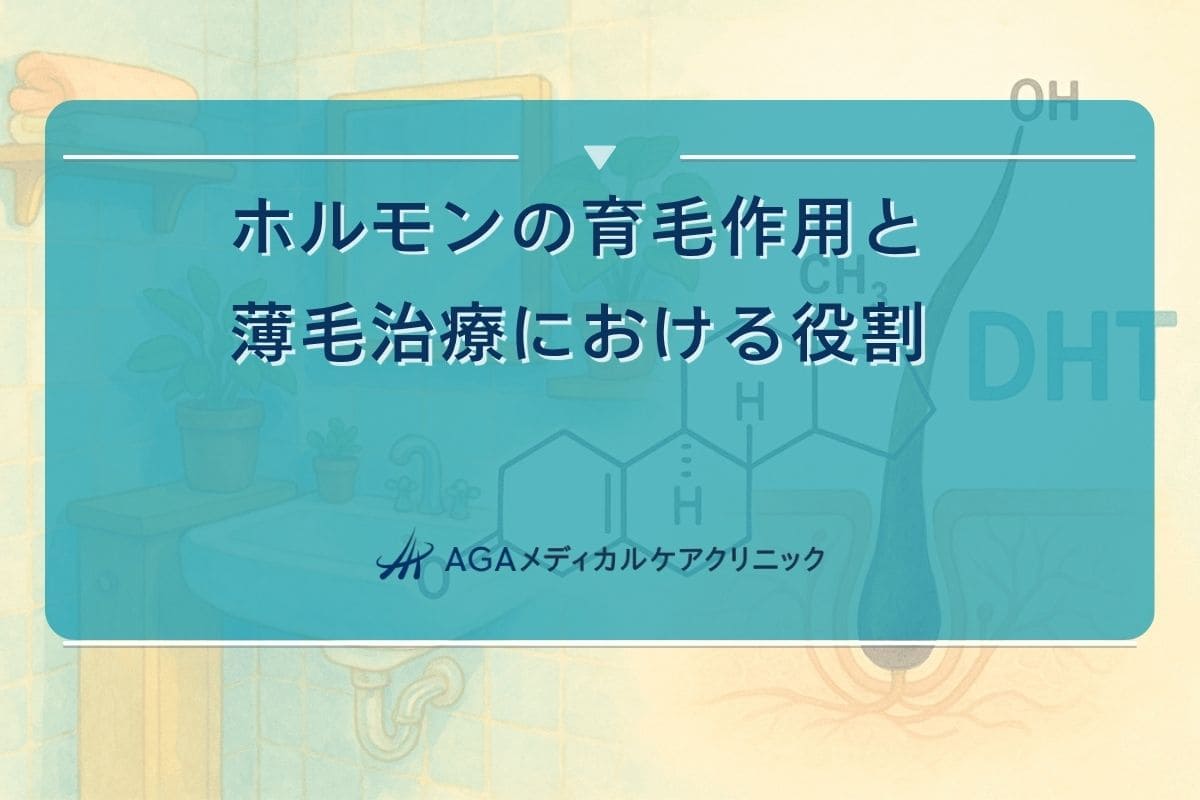 ホルモン育毛