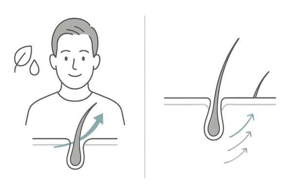 育毛と発毛の違い：既存毛の強化と新生毛の発生を可視化