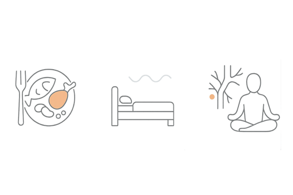 生え際の薄毛と生活習慣の関係（食事・睡眠・ストレスの3要素アイコン）