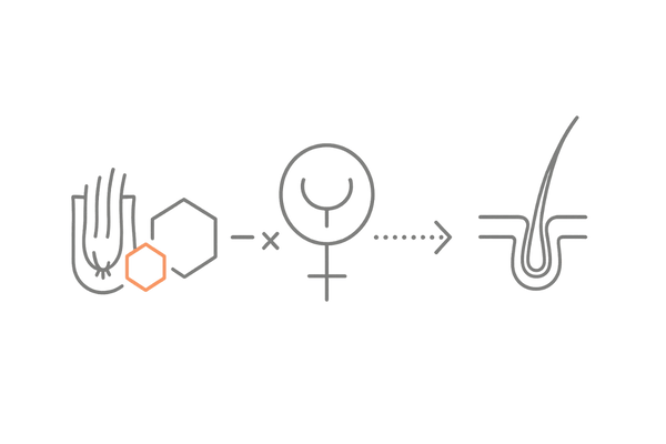 ジオスゲニンは体内でホルモンに変換されないメカニズムの可視化イラスト