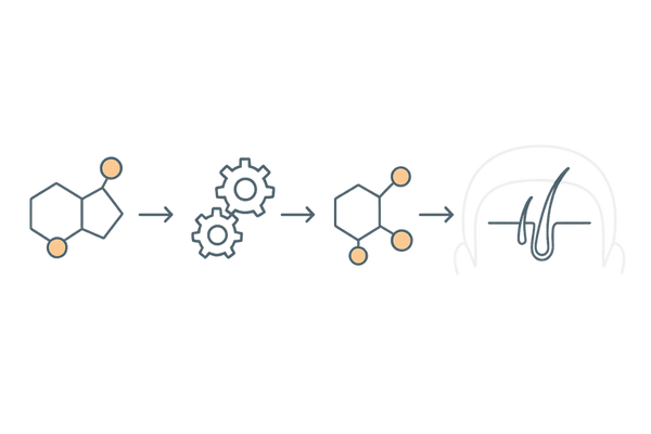 おでこの生え際が薄くなる原因｜DHTと5αリダクターゼのメカニズム（AGA）