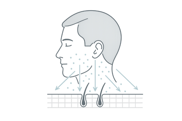 ナノ化などの浸透技術で有効成分を広範囲に届けるイメージ