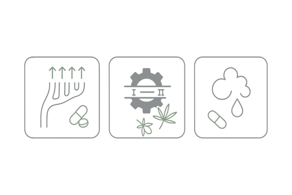 つむじ向け有効成分：血行促進・男性ホルモン対策・頭皮環境の三本柱