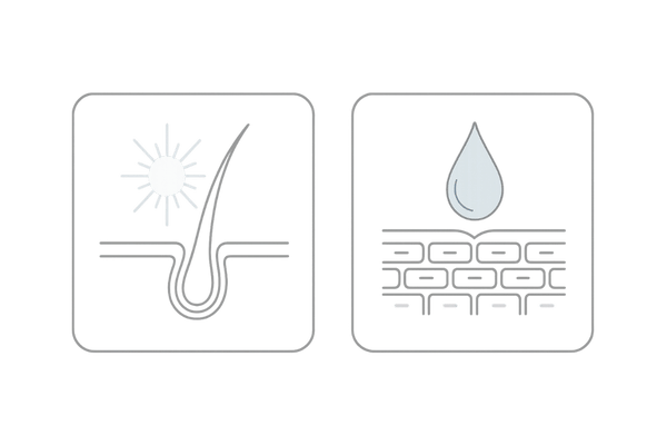 毛母細胞活性化と抗炎症保湿