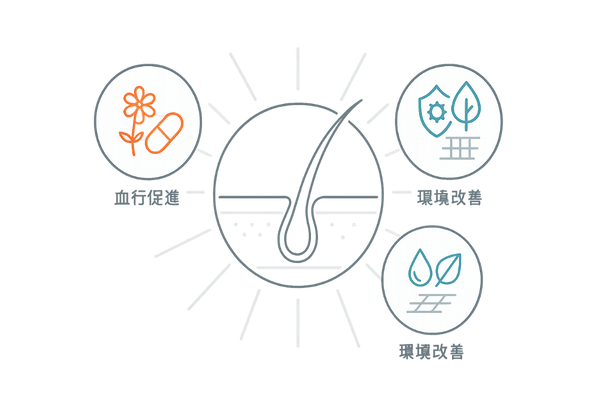 重要成分マップ（血行促進／5αサポート／頭皮環境）