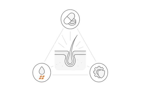 多角的アプローチによる成分バランスの検証（三位一体のバランス図）