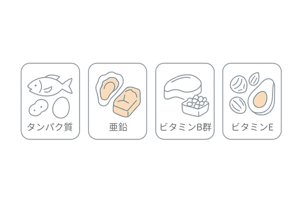 薄毛予防に役立つ栄養素アイコン(タンパク質・亜鉛・ビタミンB・E)