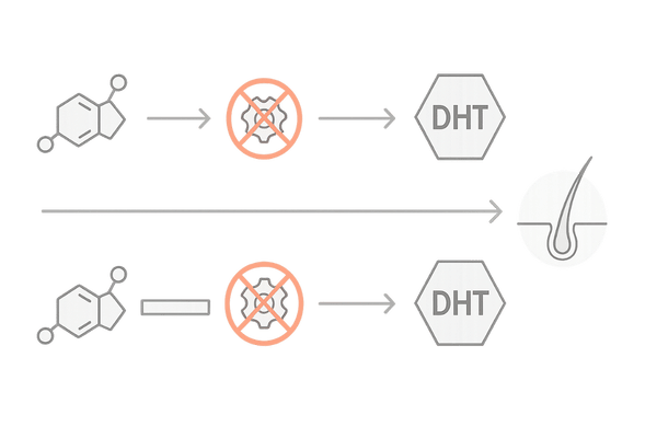 ノコギリヤシの有効成分イメージ（脂肪酸・植物ステロール）｜育毛との関連を示す線画図