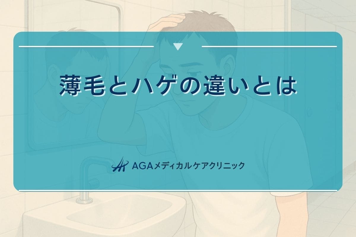 薄毛とハゲの違い, 薄毛 ハゲ