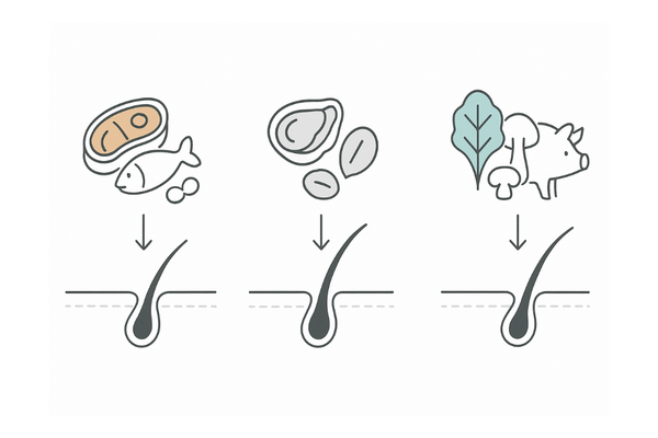 10代に必要な栄養素（タンパク質・亜鉛・ビタミンB群）と髪の関係｜若年層の食事改善