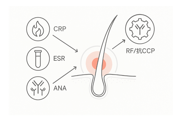 炎症・免疫マーカーと毛包｜CRP・ESR・ANA・RF/抗CCPの関係