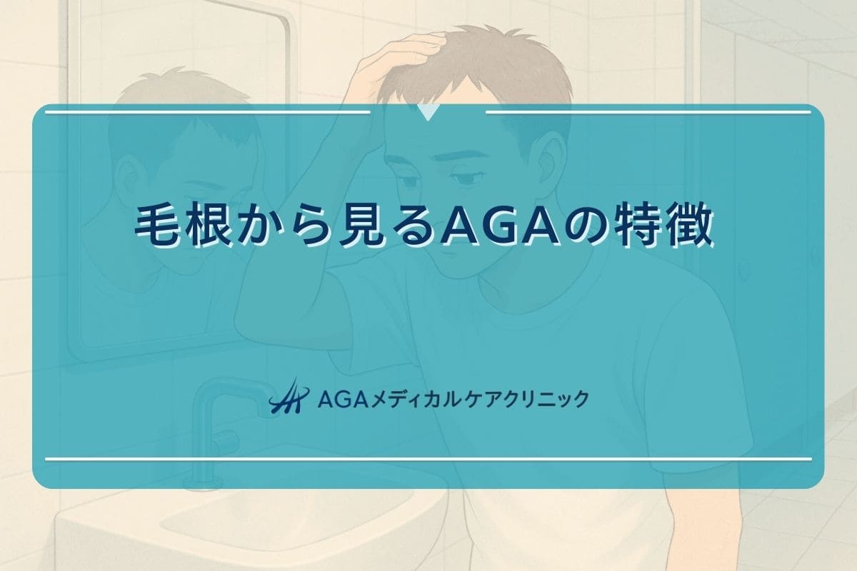 aga 毛根, aga 抜け毛 毛根