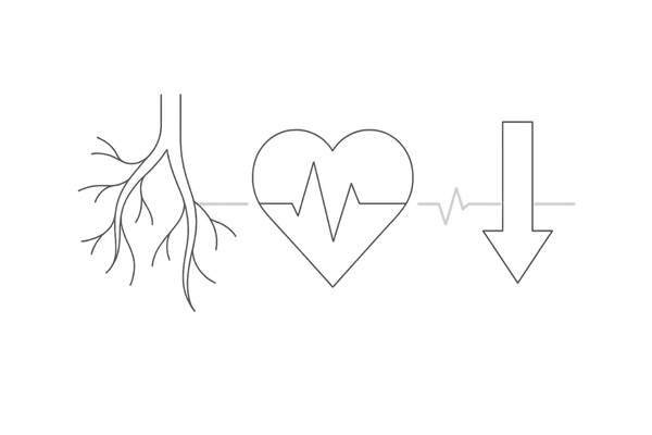 ミノキシジルタブレットの循環器系リスク（動悸・不整脈・低血圧）