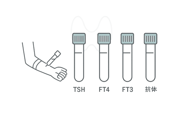 甲状腺機能を調べる血液検査イメージ（TSH・FT4・FT3・自己抗体の最小ラベル）