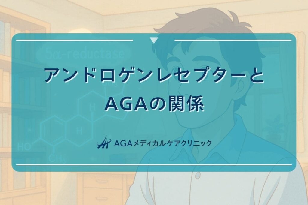 アンドロゲンレセプター, アンドロゲンレセプター 感受性